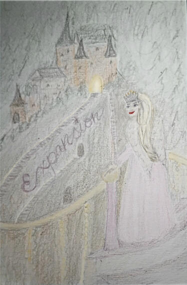 Expansion cover art